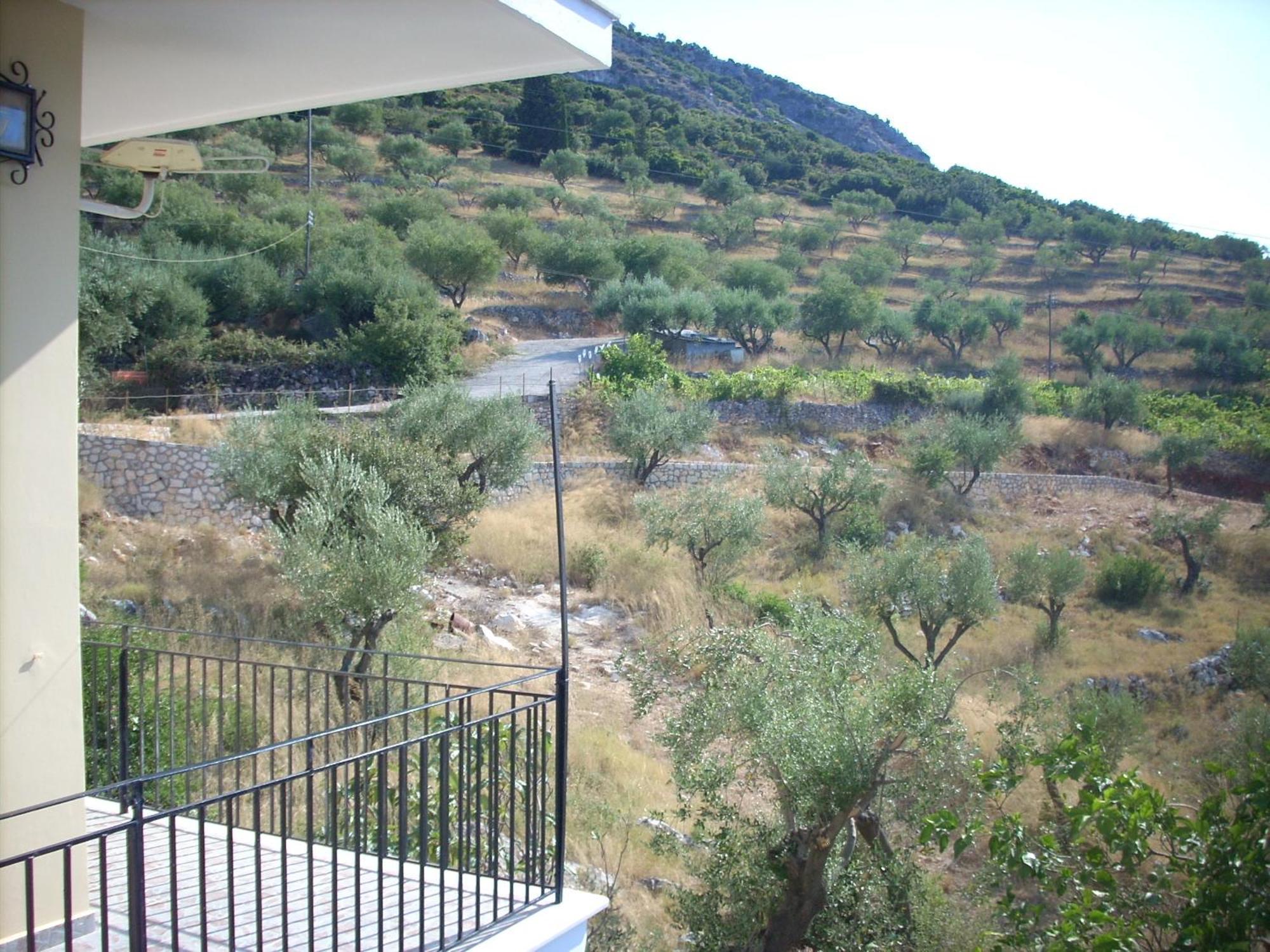 Olympia House Daire Vathy  Dış mekan fotoğraf