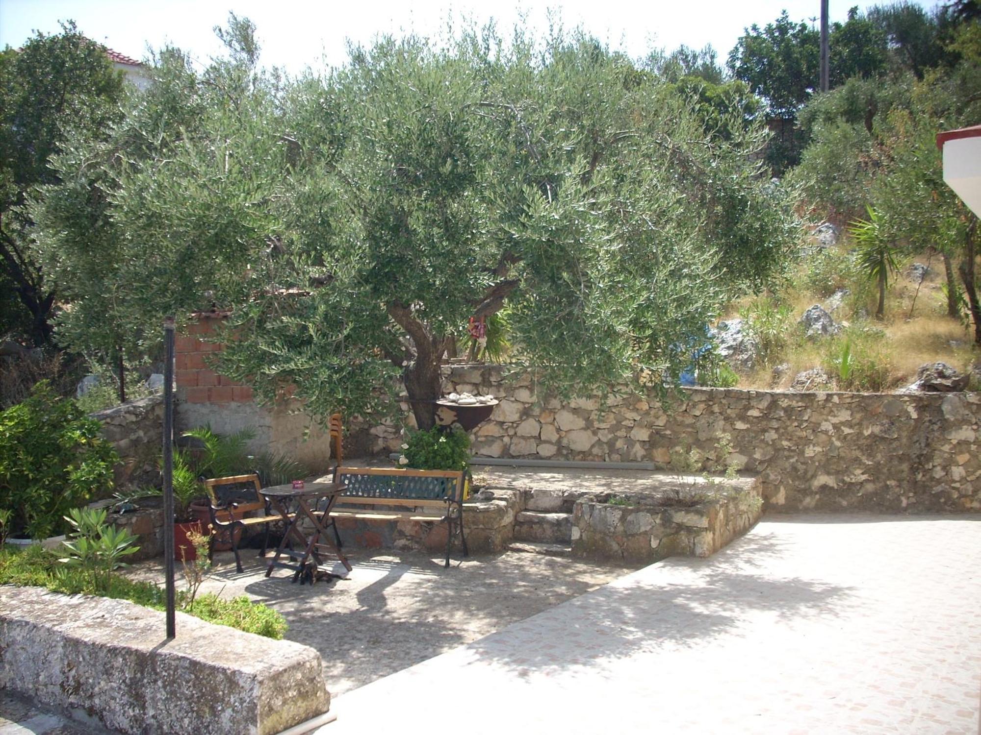 Olympia House Daire Vathy  Dış mekan fotoğraf